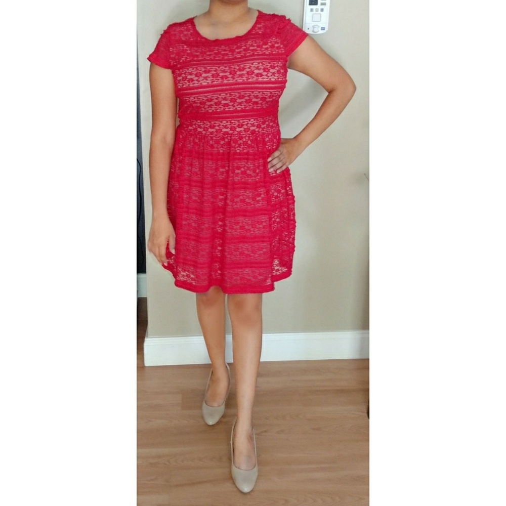 Enfocus Petite Red Lace Short Sleeve Petite Dress
